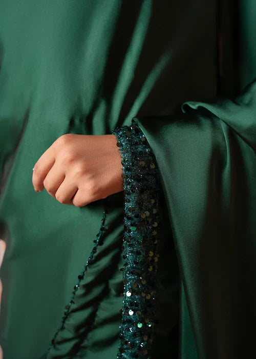 Graceful Green Embellished Saree – 3-Piece Festive Ensemble