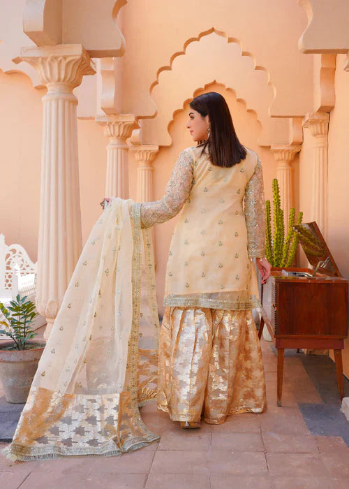 3PC Embellished Gharara Set
