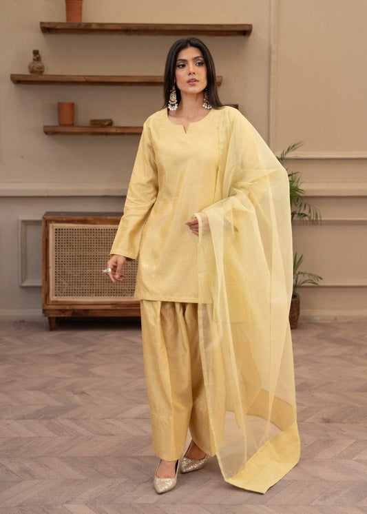 Raw Silk 3-Piece Kurta Set with Farshi Salwar & Organza Dupatta