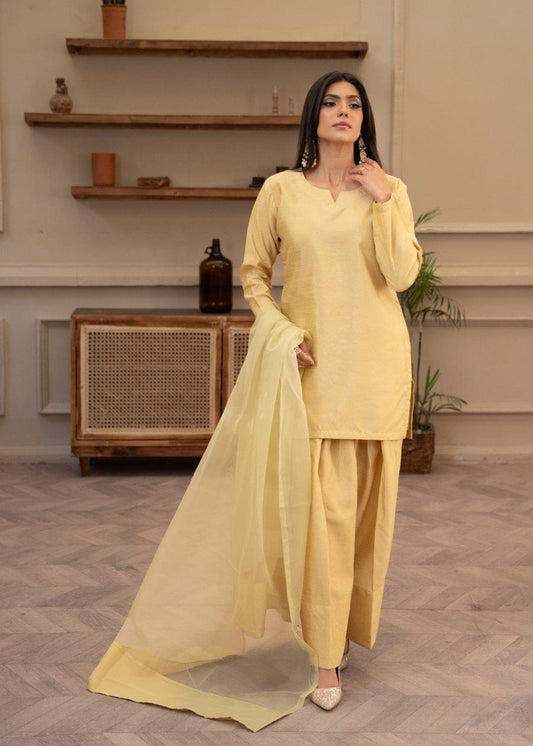 Raw Silk 3-Piece Kurta Set with Farshi Salwar & Organza Dupatta