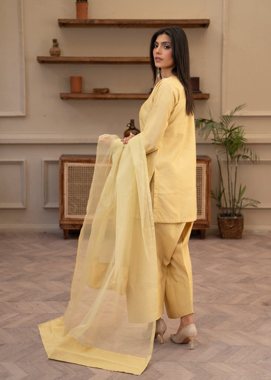 Raw Silk 3-Piece Kurta Set with Farshi Salwar & Organza Dupatta